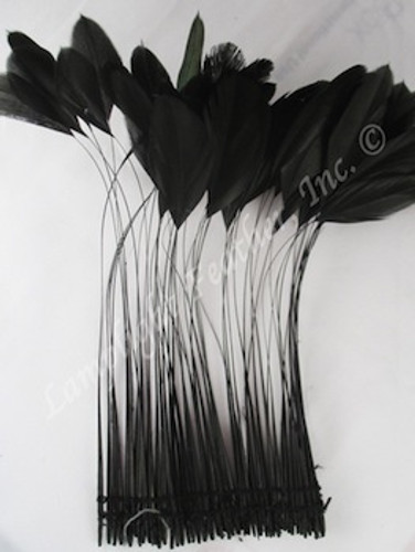 Hat Feathers and Millinery Feathers